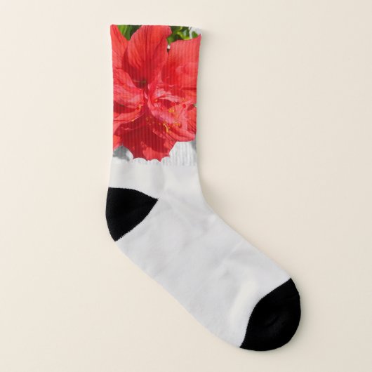 Red Double Hibisken Blume Socken (Rechts - Außen)