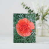Red Double Poppy Floral Postkarte (Stehend Vorderseite)