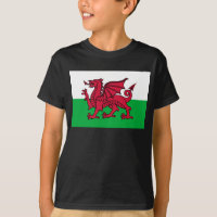 Red Dragon Celtic Flag Wales & Welsh