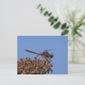 Red Dragonfly DIY Postkarte (Stehend Vorderseite)