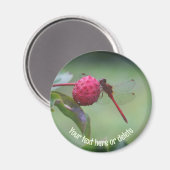 Red Dragonfly Nature Personalized Magnet (Vorderseite/Rückseite)