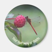 Red Dragonfly Nature Personalized Magnet (Vorne)