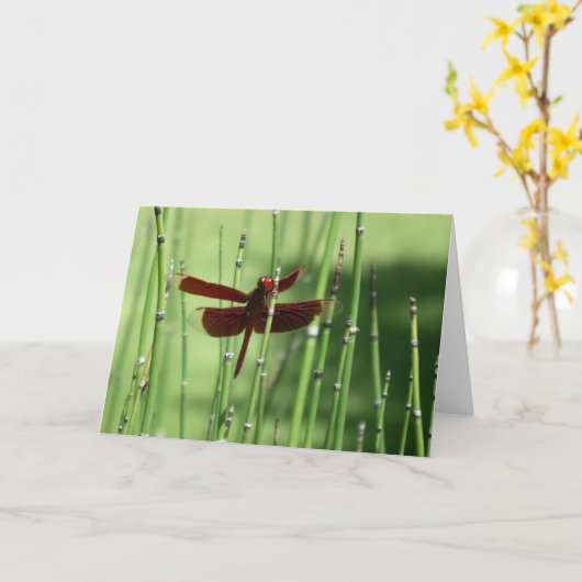 Red Dragonfly Note Card Karte (Gelbe Blume)