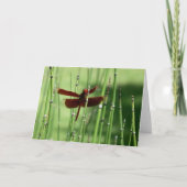 Red Dragonfly Note Card Karte (Vorderseite)