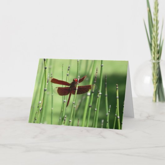 Red Dragonfly Note Card Karte (Vorderseite)