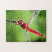 Red Dragonfly Puzzle Green Hintergrund (Horizontal)