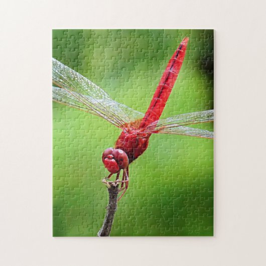 Red Dragonfly Puzzle Green Hintergrund (Vertikal)