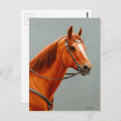 Red Dun Kastnut Sorrel Western Quarter Horse Postkarte (Vorne/Hinten)