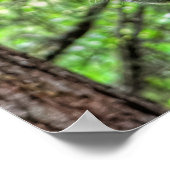 Red Dun Mare Horse im Forest Equine Foto Poster (Ecke)