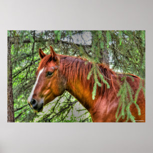 Red Dun Mare Horse im Forest Equine Foto Poster