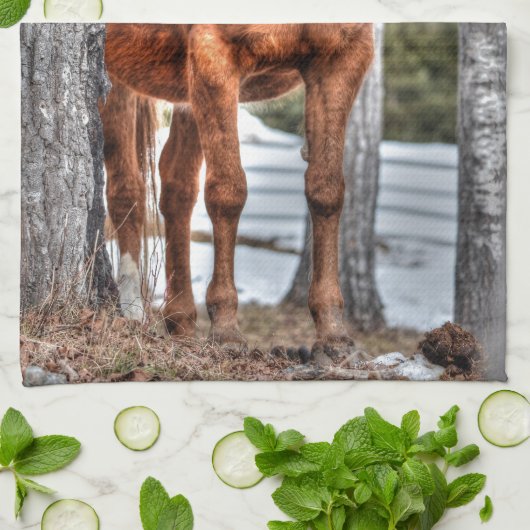 Red Dun Ranch Horse Animal Lover Foto Küchentuch (Gefaltet)