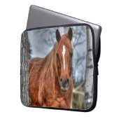 Red Dun Ranch Horse Animal Lover Foto Laptopschutzhülle (Vorderseite Links)
