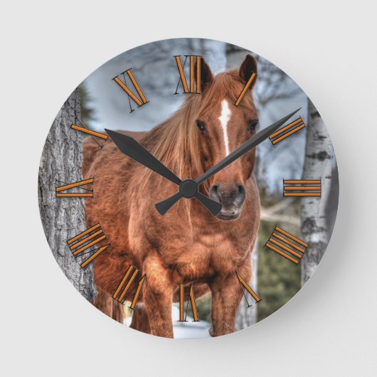 Red Dun Ranch Horse Animal Lover Foto Runde Wanduhr (Vorderseite)