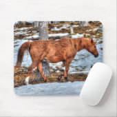 Red Dun Ranch Horse Equine Fotografie Mousepad (Mit Mouse)