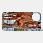 Red Dun Ranch Horse Equine Lover Foto Case-Mate iPhone Hülle (Rückseite (Horizontal))