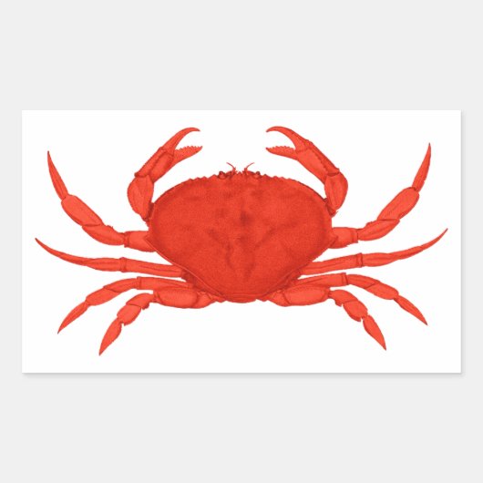 Red Dungeness Crab Logo Rechteckiger Aufkleber (Vorderseite)
