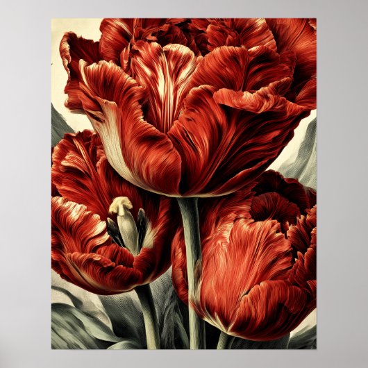 Red Dutch tulips Poster (Vorne)