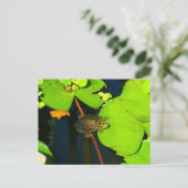 Red Eared Slider Postkarte (Stehend Vorderseite)