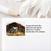 Red Eared Slider Turtle Head (Insitu)