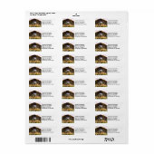 Red Eared Slider Turtle Head (Vorne)