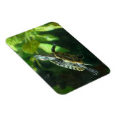 Red-Eared Slider Turtle Magnet (Rechte Seite)