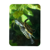 Red-Eared Slider Turtle Magnet (Vertikal)