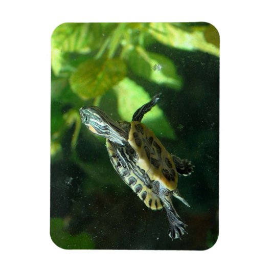Red-Eared Slider Turtle Magnet (Vertikal)