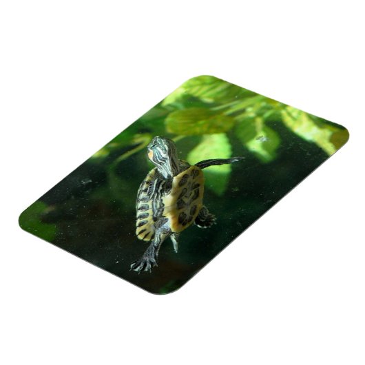 Red-Eared Slider Turtle Magnet (Linke Seite)