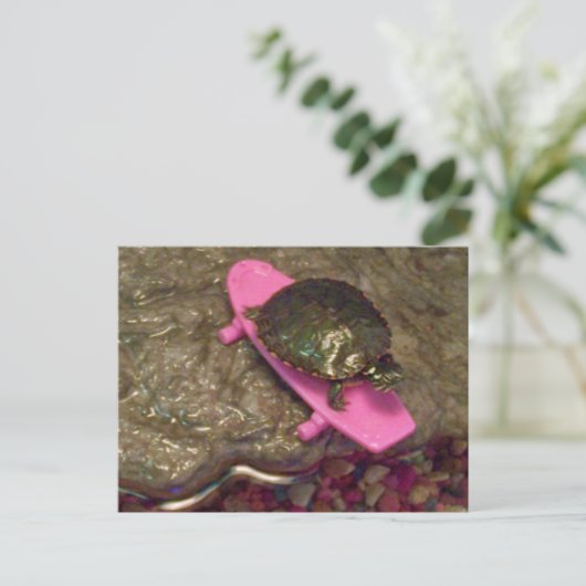 Red Eared Slider Turtle Riding Skateboard Postkarte (Stehend Vorderseite)