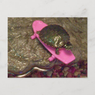 Red Eared Slider Turtle Riding Skateboard Postkarte