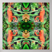 Red Eft Orange Salamander Mirror Abstrakt Poster (Vorne)