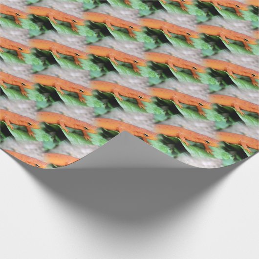Red Eft Orange Salamander Tiermuster   Geschenkpapier (Ecke)
