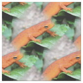 Red Eft Orange Salamander Tiermuster Stoff (Nahaufnahme)