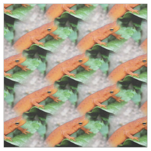 Red Eft Orange Salamander Tiermuster Stoff
