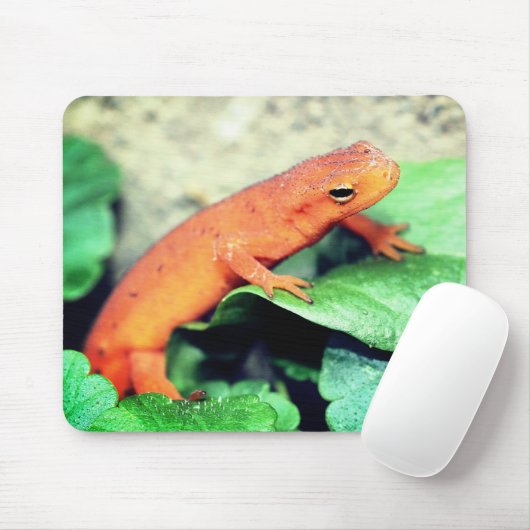 Red Eft Salamander Nature Mousepad (Mit Mouse)