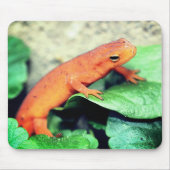 Red Eft Salamander Nature Mousepad (Vorne)