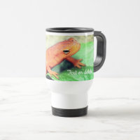 Red Eft Salamander Nature Personalisiert