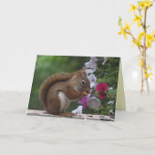 Red Eichhörnchen Denken Sie an Sie Karte (Gelbe Blume)