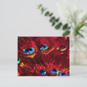 Red Electro Peacock Feathers Postkarte (Stehend Vorderseite)