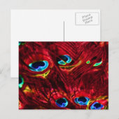 Red Electro Peacock Feathers Postkarte (Vorne/Hinten)