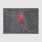 Red Exotic Kardinal Wildlife Seidenpapier (Vorderseite)