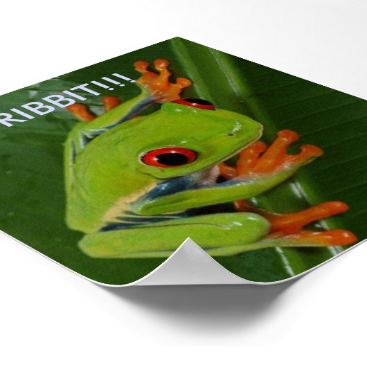 Red-Eye-Tree-Frog, RIBBIT!! Poster (Ecke)