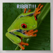 Red-Eye-Tree-Frog, RIBBIT!! Poster (Vorne)