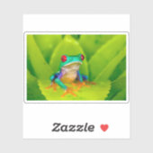 Red-eyed tree frog, Costa Rica Aufkleber (Blatt)