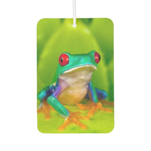 Red-eyed tree frog, Costa Rica Autolufterfrischer (Vorderseite)