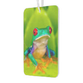 Red-eyed tree frog, Costa Rica Autolufterfrischer (Links)