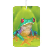 Red-eyed tree frog, Costa Rica Autolufterfrischer (Rückseite)