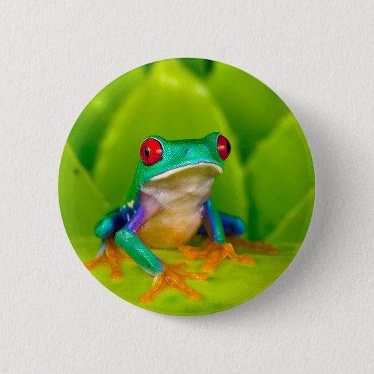 Red-eyed tree frog, Costa Rica Button (Vorderseite)