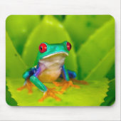 Red-eyed tree frog, Costa Rica Mousepad (Vorne)