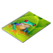 Red-eyed tree frog, Costa Rica Notizblock (Linke Seite)